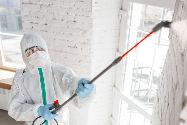 Best Commercial Mold Inspection  in Shelburn, IN